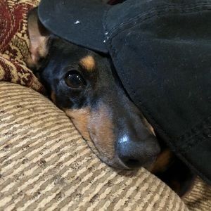 Meet your Posher, Andrew